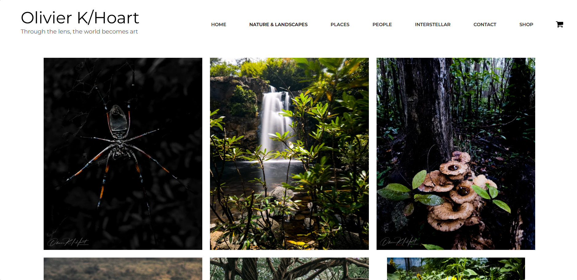 Olivier K/Hoart website screenshot